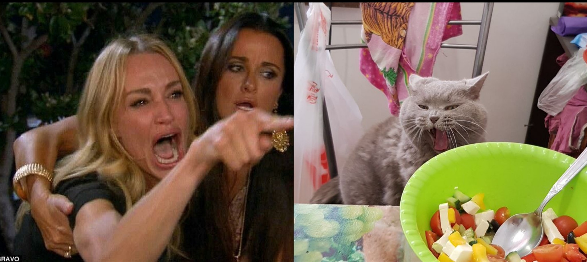 Мем с котом и женщиной. Девушки орут на кота. Мемы с котом и девушками. Мем с котом и двумя женщинами.