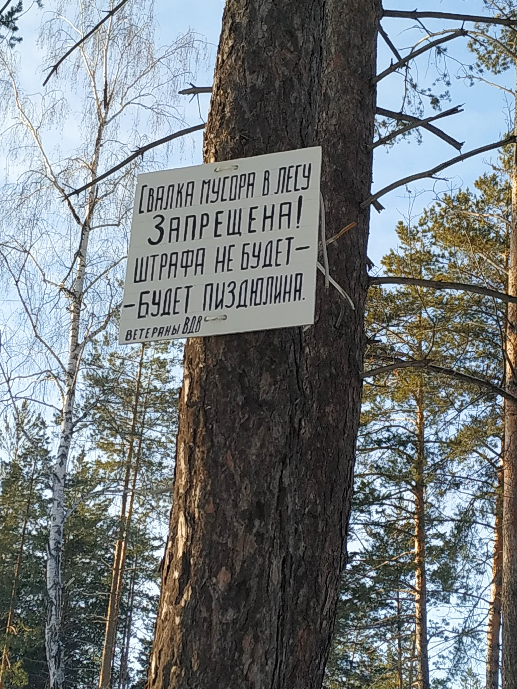 Ветеранский штраф | Пикабу