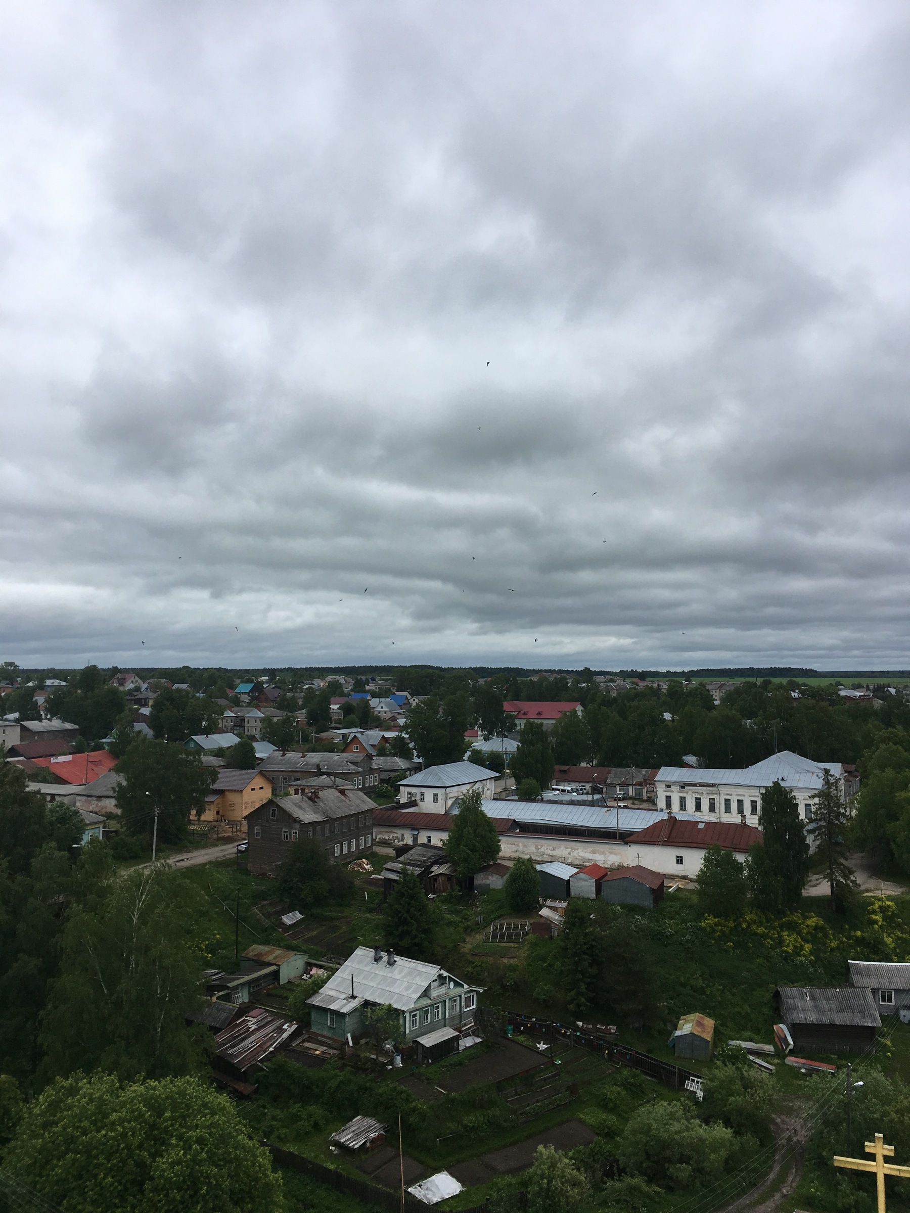 Балтийский Экспресс-2018.Часть 3 - Моё, Красноярск, Тотьма, Автопутешествие, Отпуск, Санкт-Петербург, Длиннопост