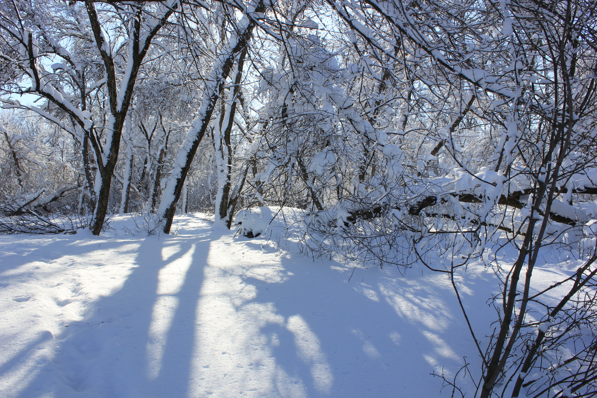 Winter has come again.... (Rostov region) - My, Winter, beauty, Rostov region, Landscape, Longpost