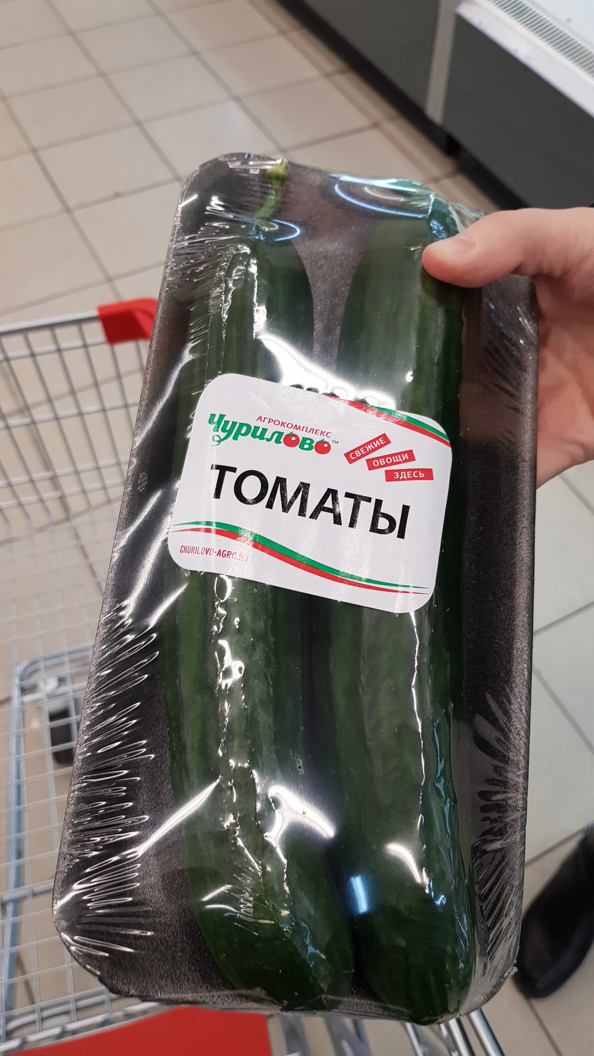Огуматы | Пикабу