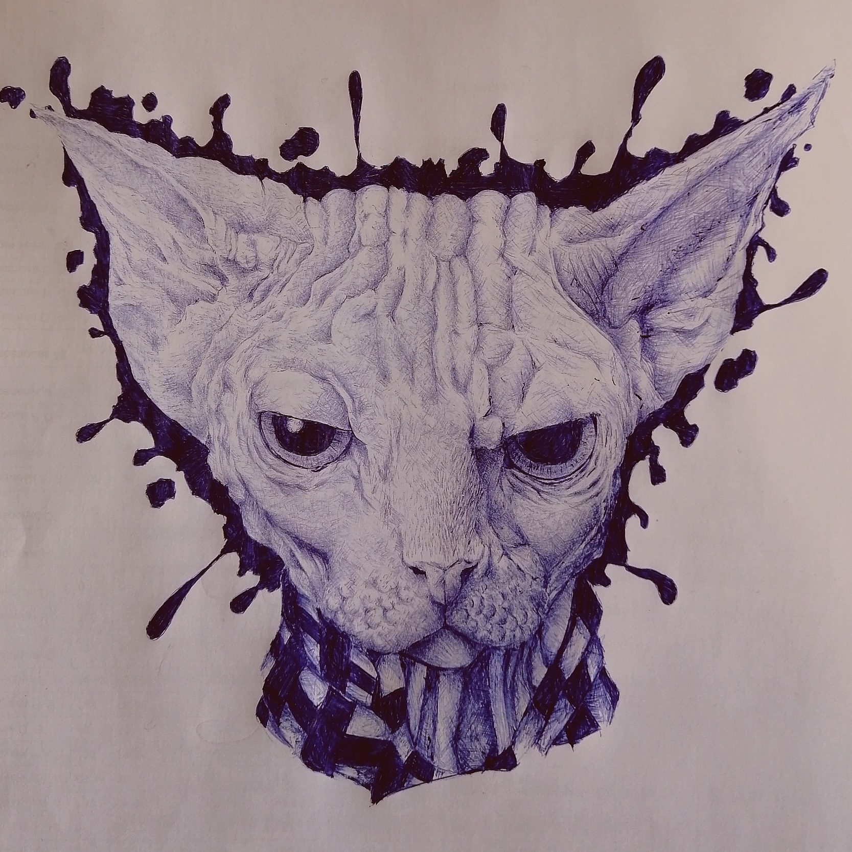 Sphinx - My, Sphinx, Drawing, Graphics, cat