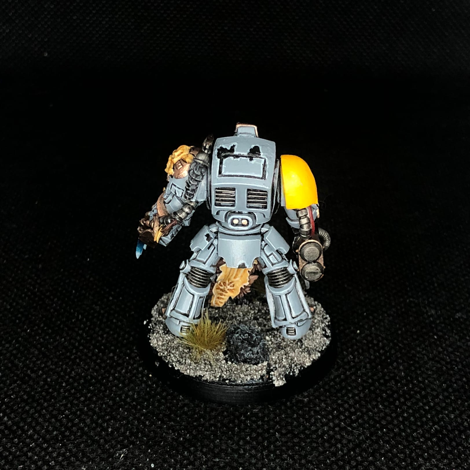 A little Wolf Guard for your feed - My, Wh miniatures, Warhammer 40k, Space wolves, Miniature, Wh painting, Longpost