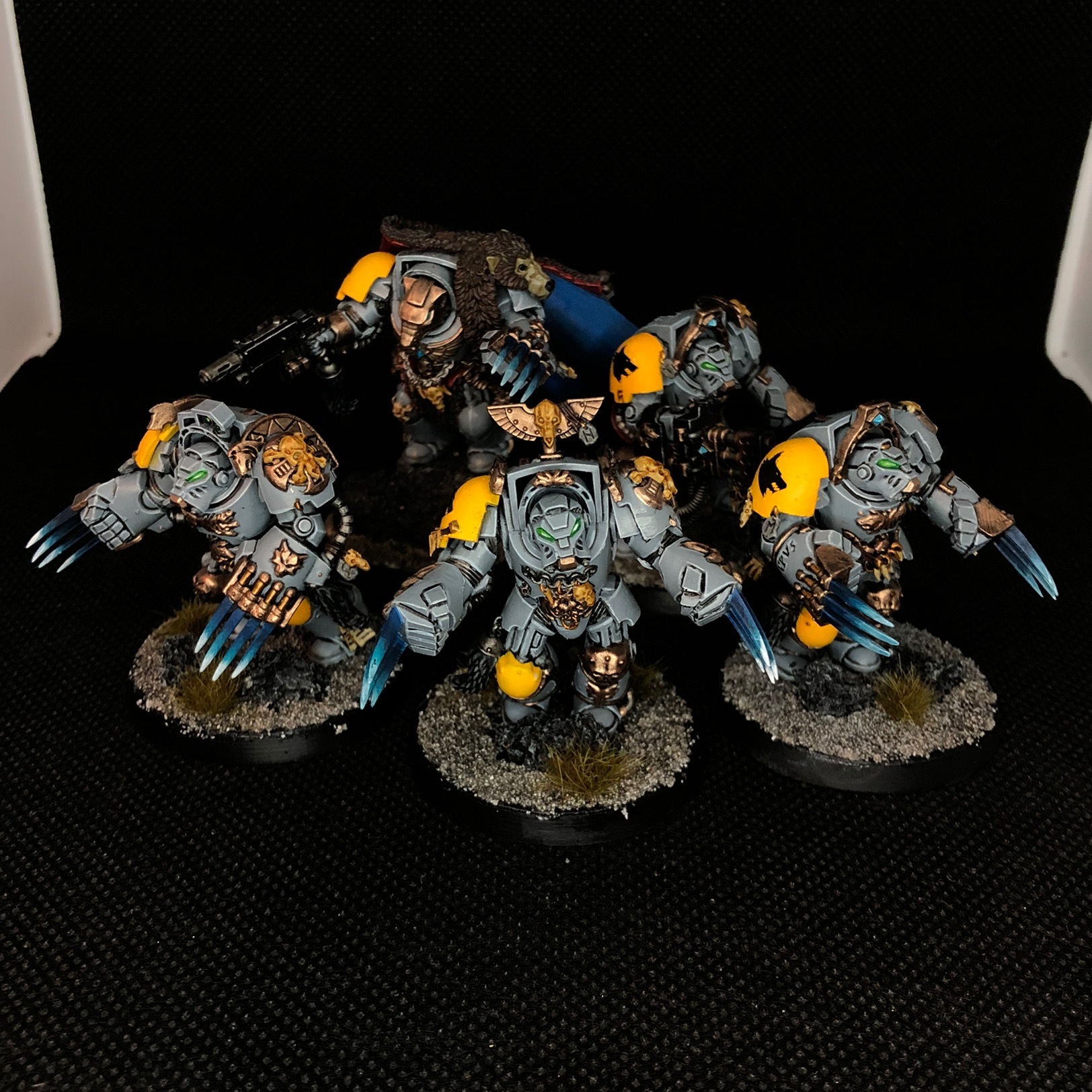 A little Wolf Guard for your feed - My, Wh miniatures, Warhammer 40k, Space wolves, Miniature, Wh painting, Longpost