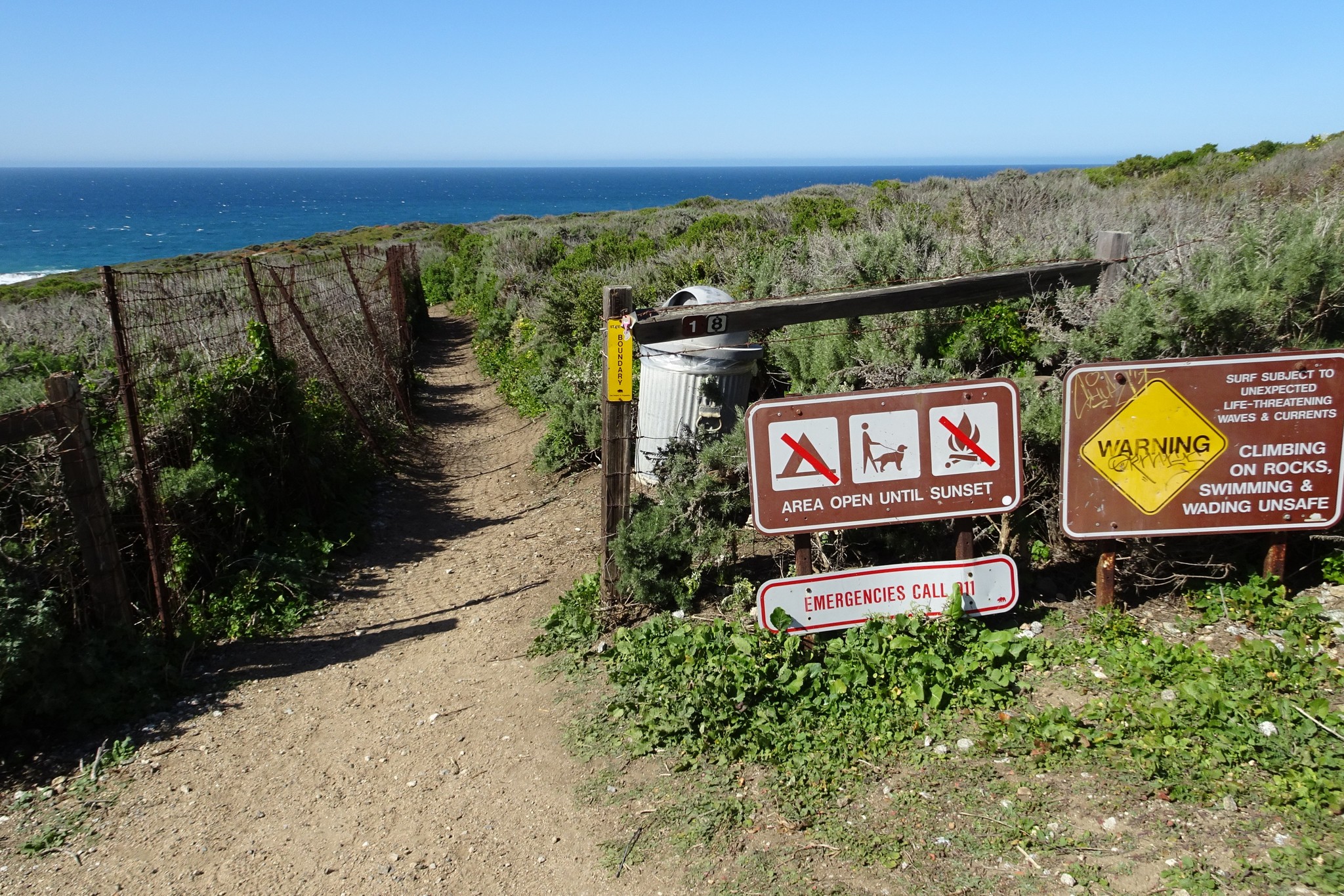 Калифорния: долина цветущих калл - Моё, Big Sur, Калифорния, Каллы, Длиннопост, США