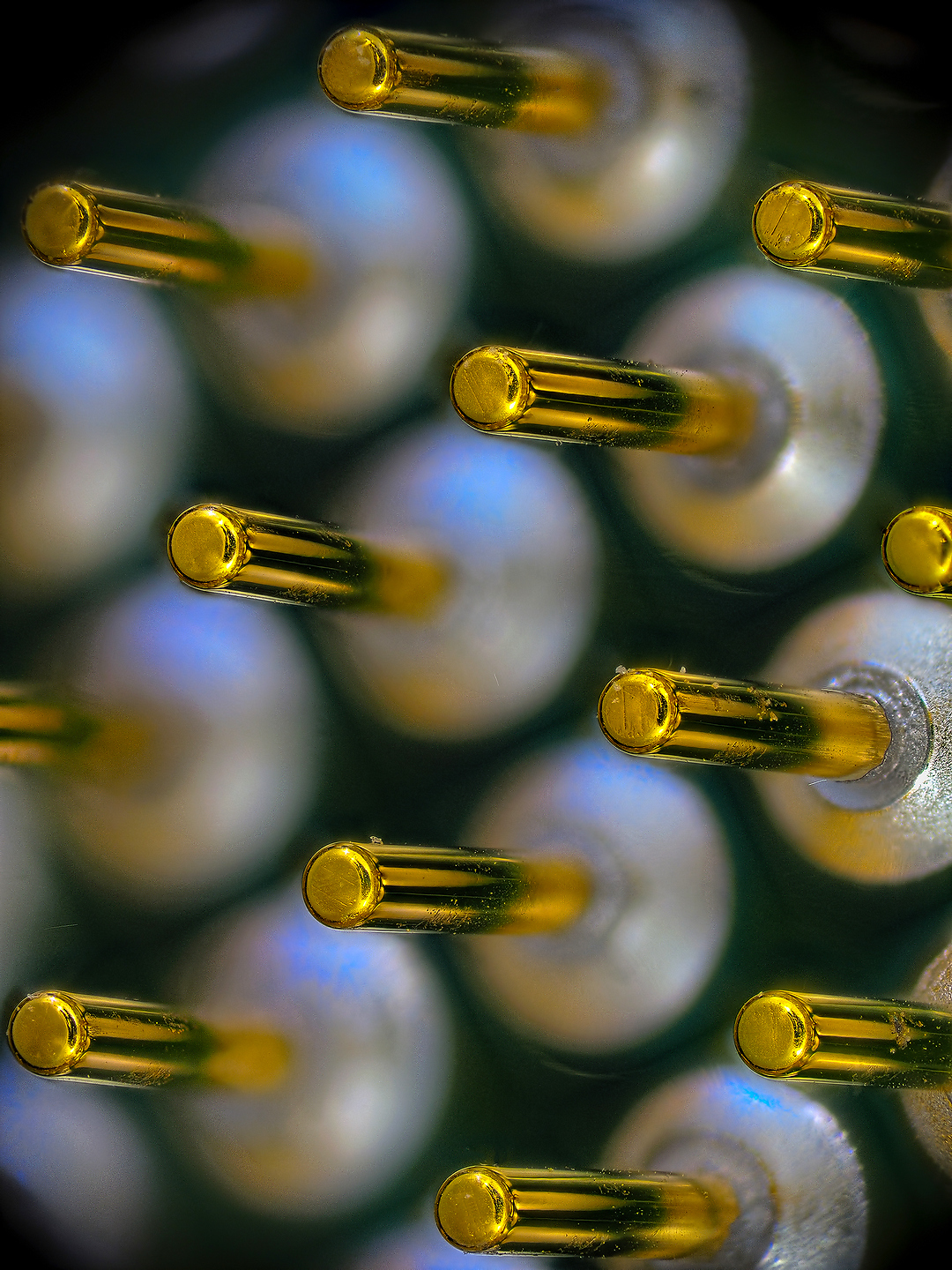 Golden legs of an old stump - My, Macro photography, Microfilming, CPU, Pentium, Microscope