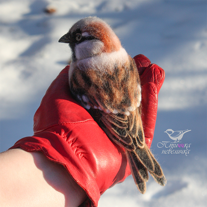 House sparrow. Dry felting - My, Needlework without process, Dry felting, Creation, Needlework, Author's toy, Wallow, Craft, Longpost