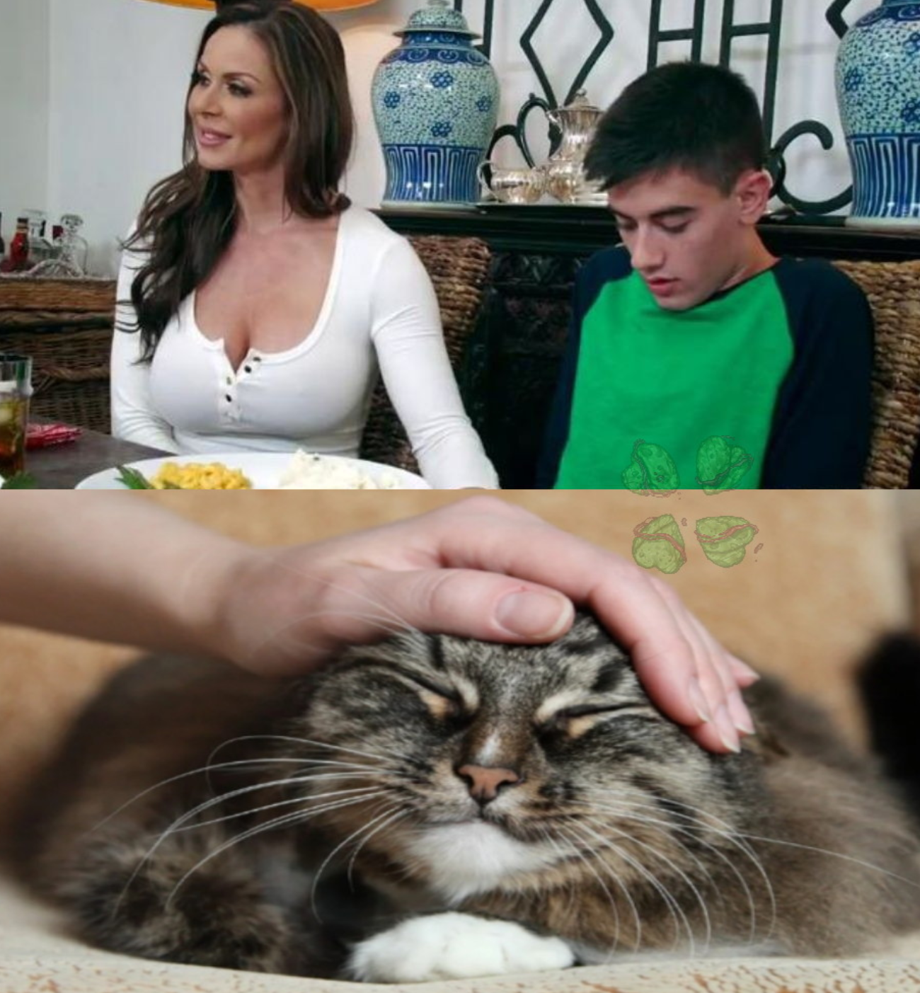 Expectations are reality - cat, Pet the cat