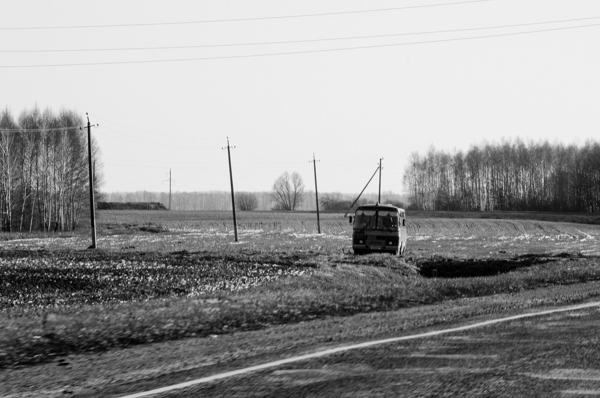 Black and white winter in Belarus - My, The photo, Black and white photo, Black and white, Nikon, Photographer, Longpost