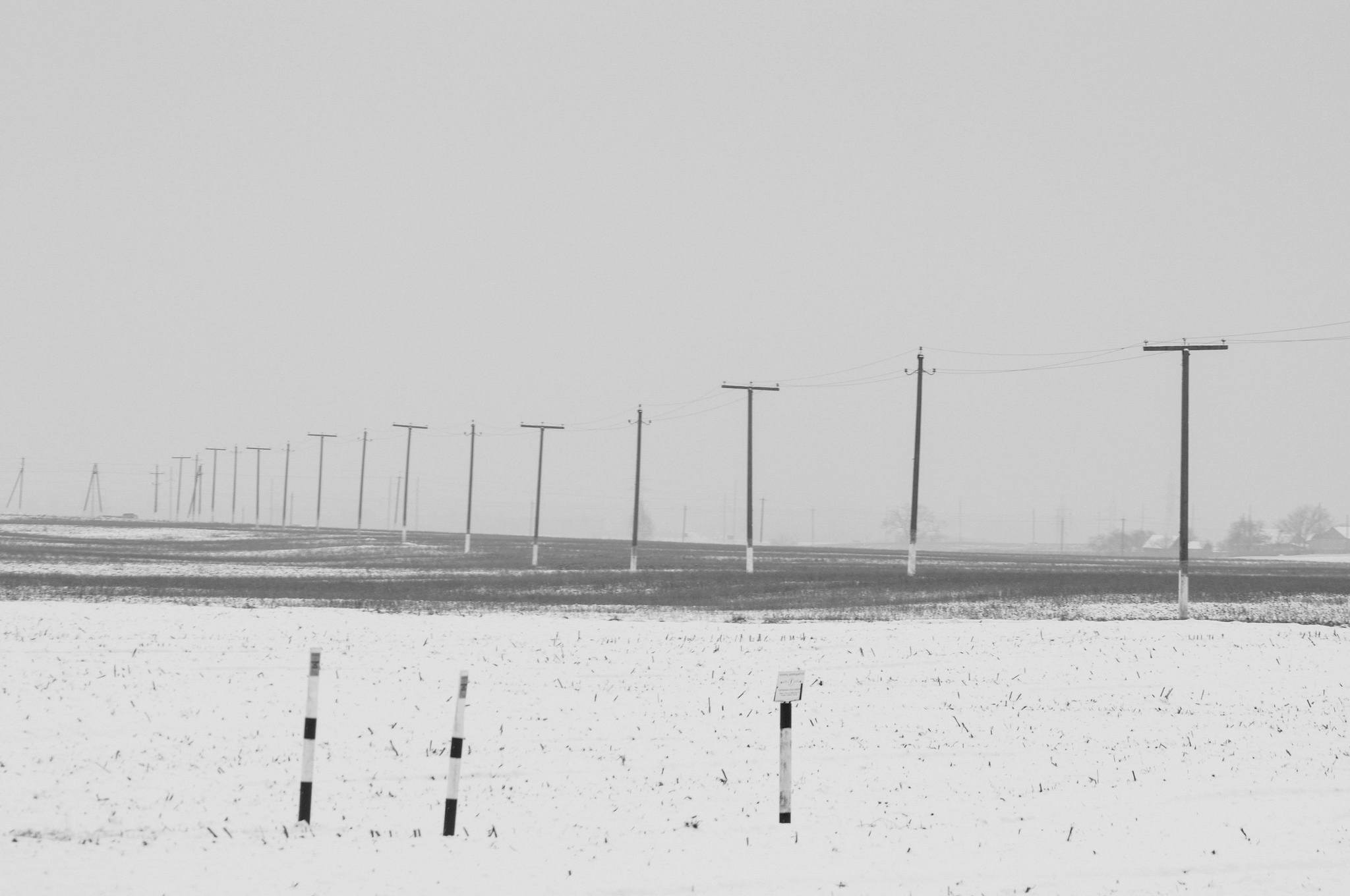 Black and white winter in Belarus - My, The photo, Black and white photo, Black and white, Nikon, Photographer, Longpost