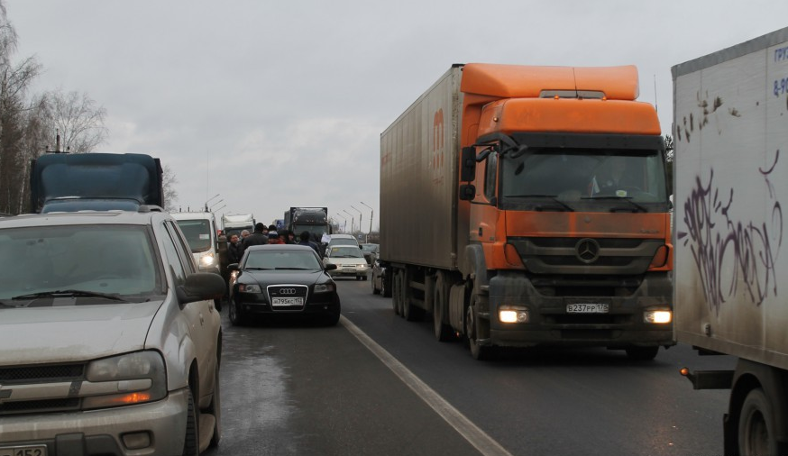 Обман передвижных зоопарков - Моё, Длиннопост, Московский зоопарк, Животные, Права животных