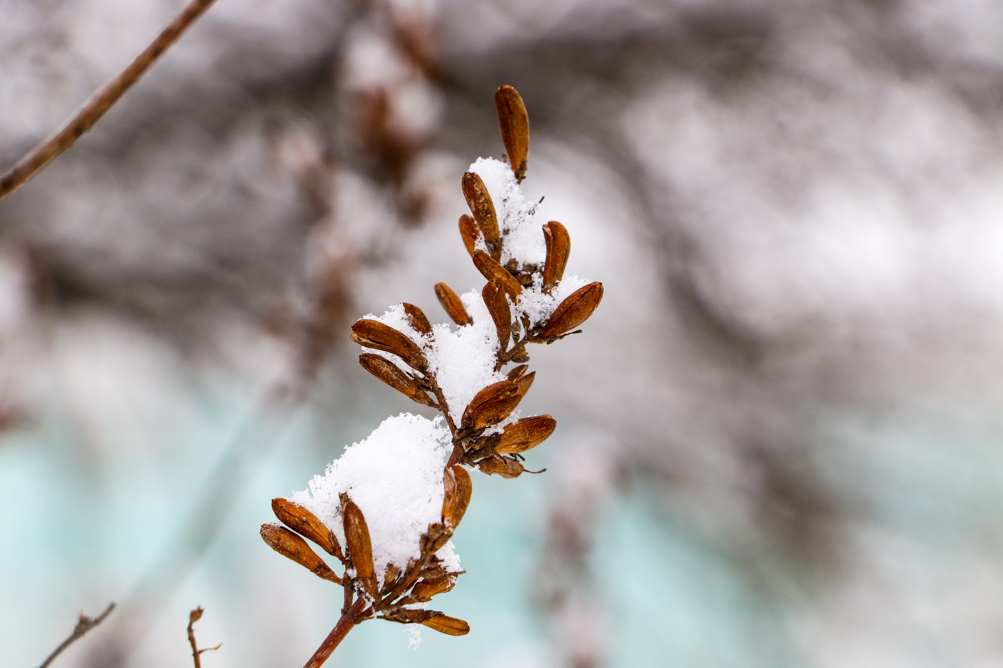 Winter - My, The photo, Dzerzhinsk, Winter, Coffee, McDonald's, Longpost