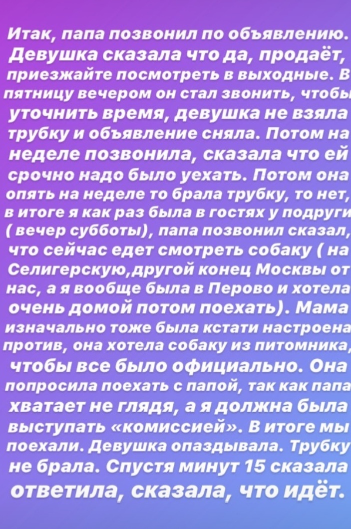 Развод на авито или бесплатная передержка - Моё, Авито, Собака, Передержка, Длиннопост, Развод на деньги