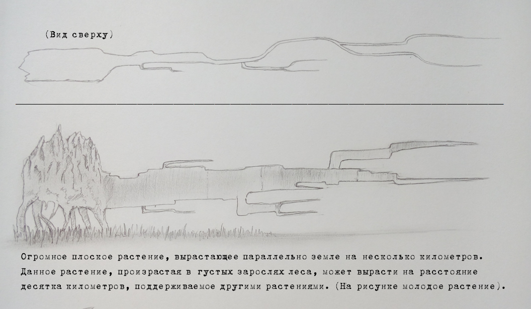 Когда опадает последний лепесток - Моё, Рассказ, История, Фантастика, Фантастические миры, Длиннопост, Сказочные животные, Другая планета