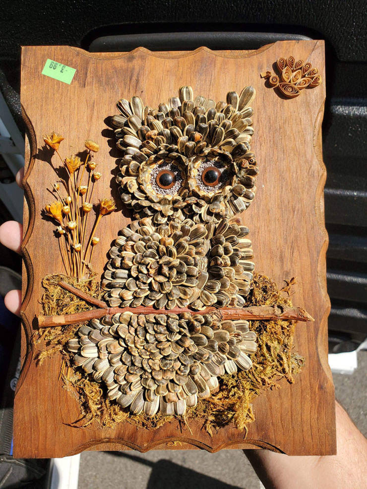 I think it's very artistic - Owl, Board, Seeds