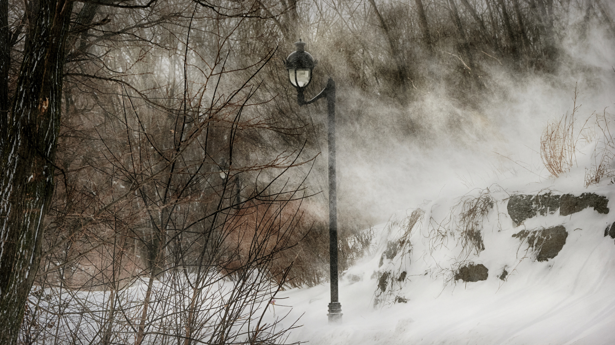 Wind - My, Wind, Winter, Lamp