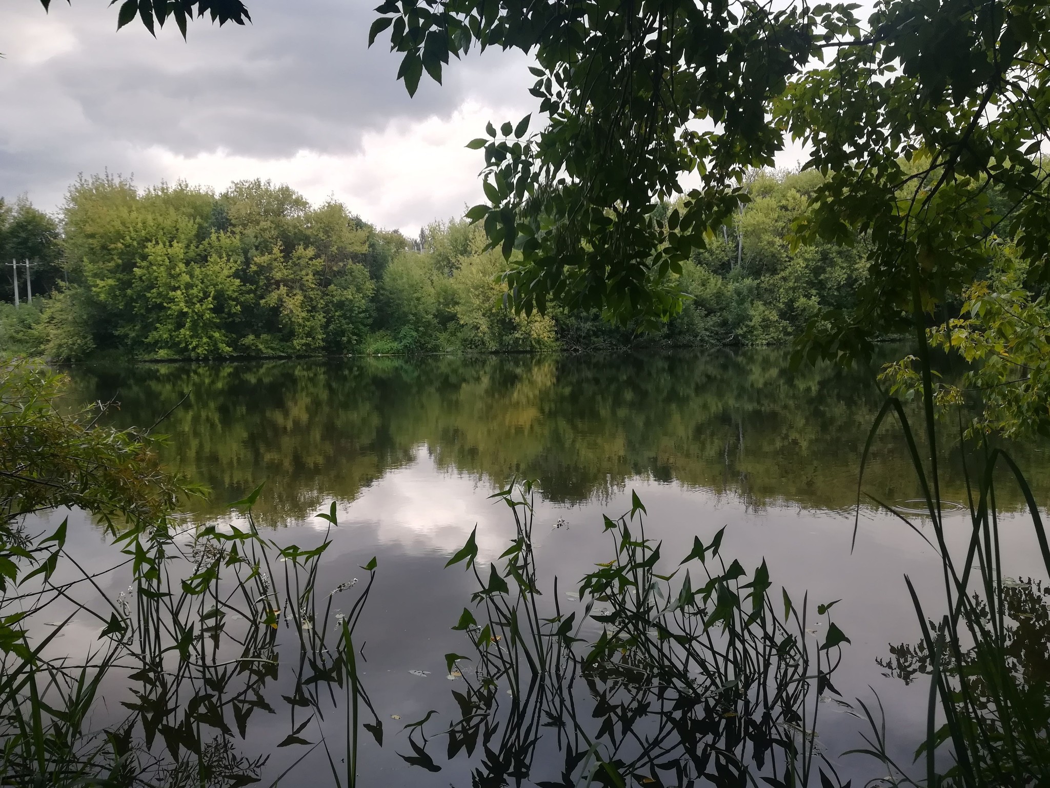 СОЗЕРЦАШКИ - Моё, Начинающий фотограф, Картина, Красота природы, Природа, Красота, Лето, Река