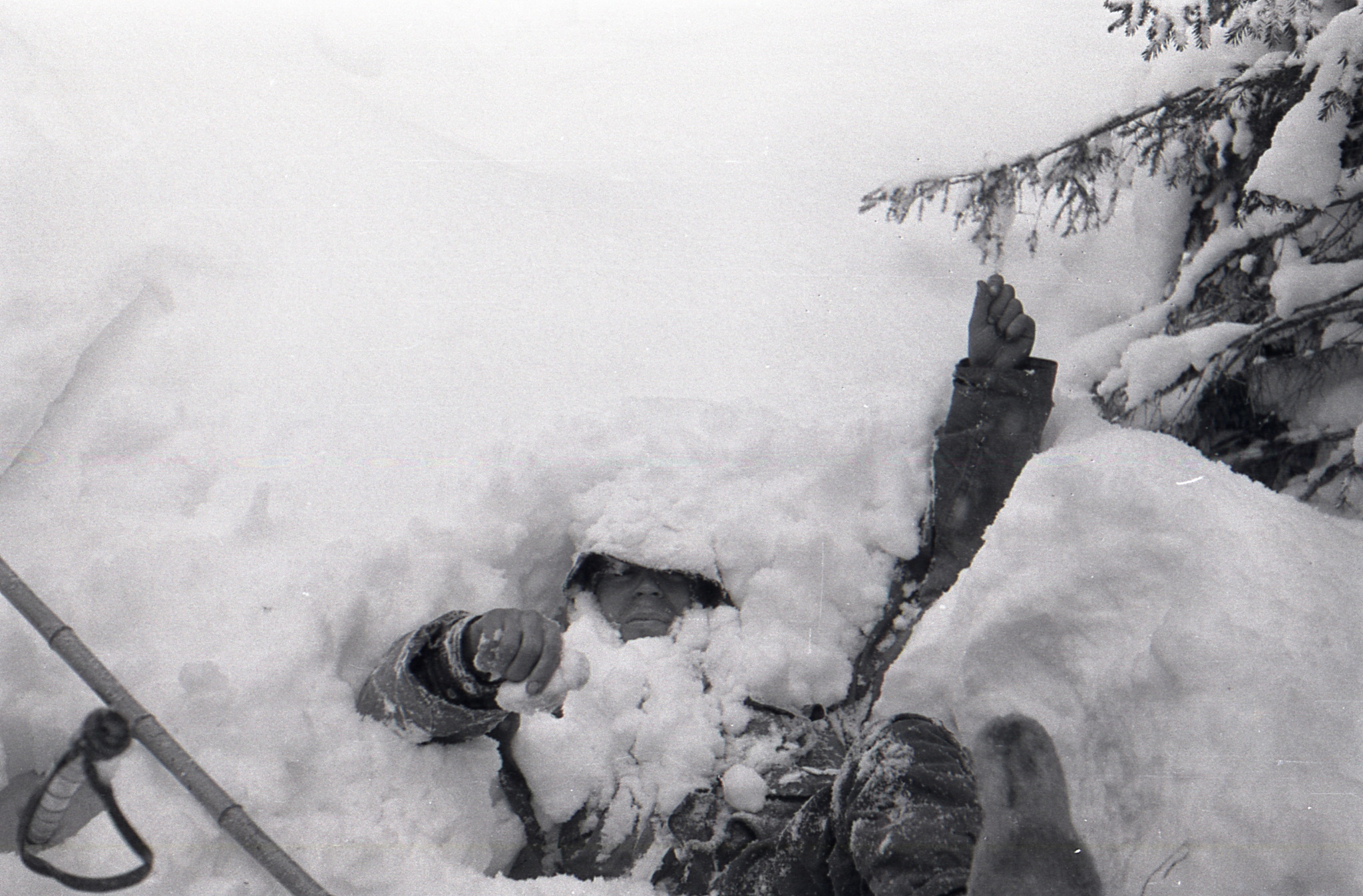 Monthly Thibault-Brignolle stubble. Another evidence of the forgery of the campaign and filming of the Dyatlov group - Dyatlov Pass, Story, Mythology, Longpost