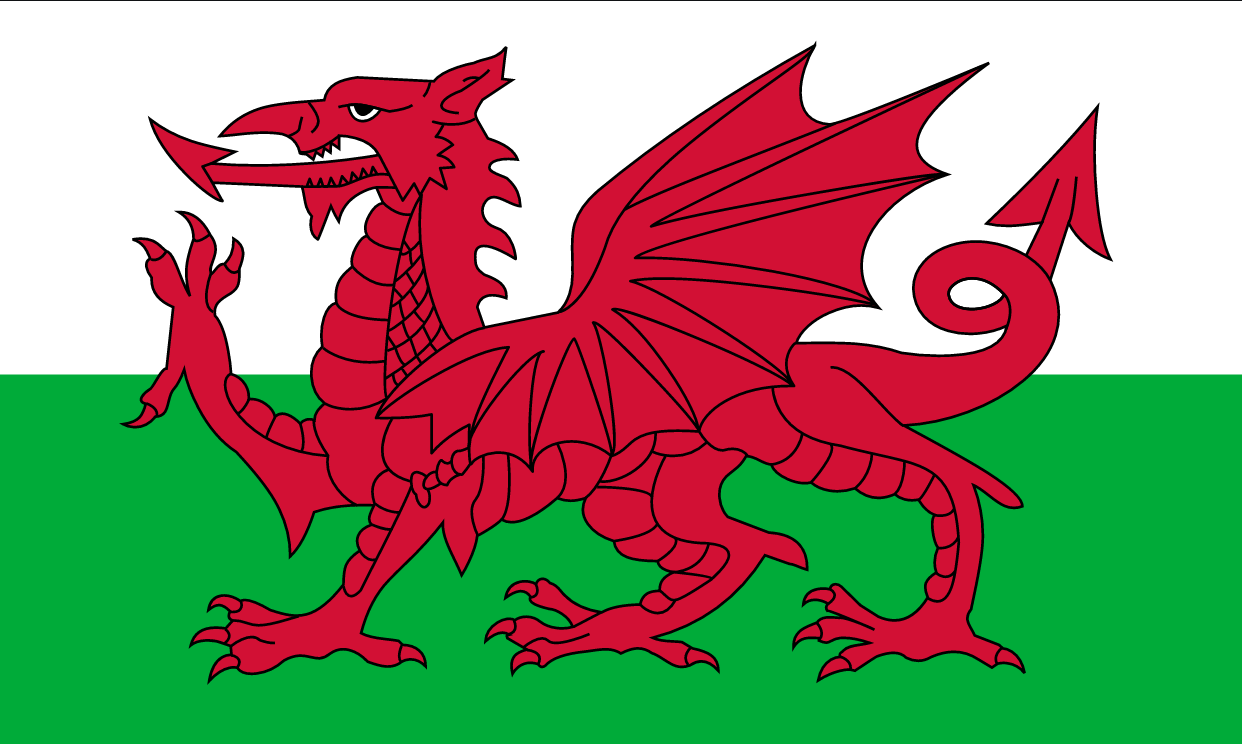 Yes, not everything is all right there with France either... - Wales, Flag, The Dragon, A pub, Sport