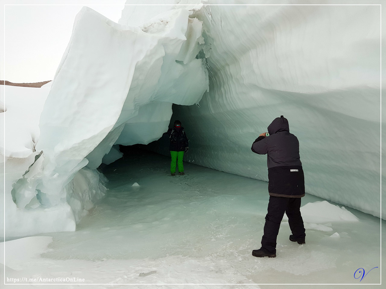 The first results of the outgoing summer - My, Antarctica, Antarctica On-Line, Novolazarevskaya Station, Longpost