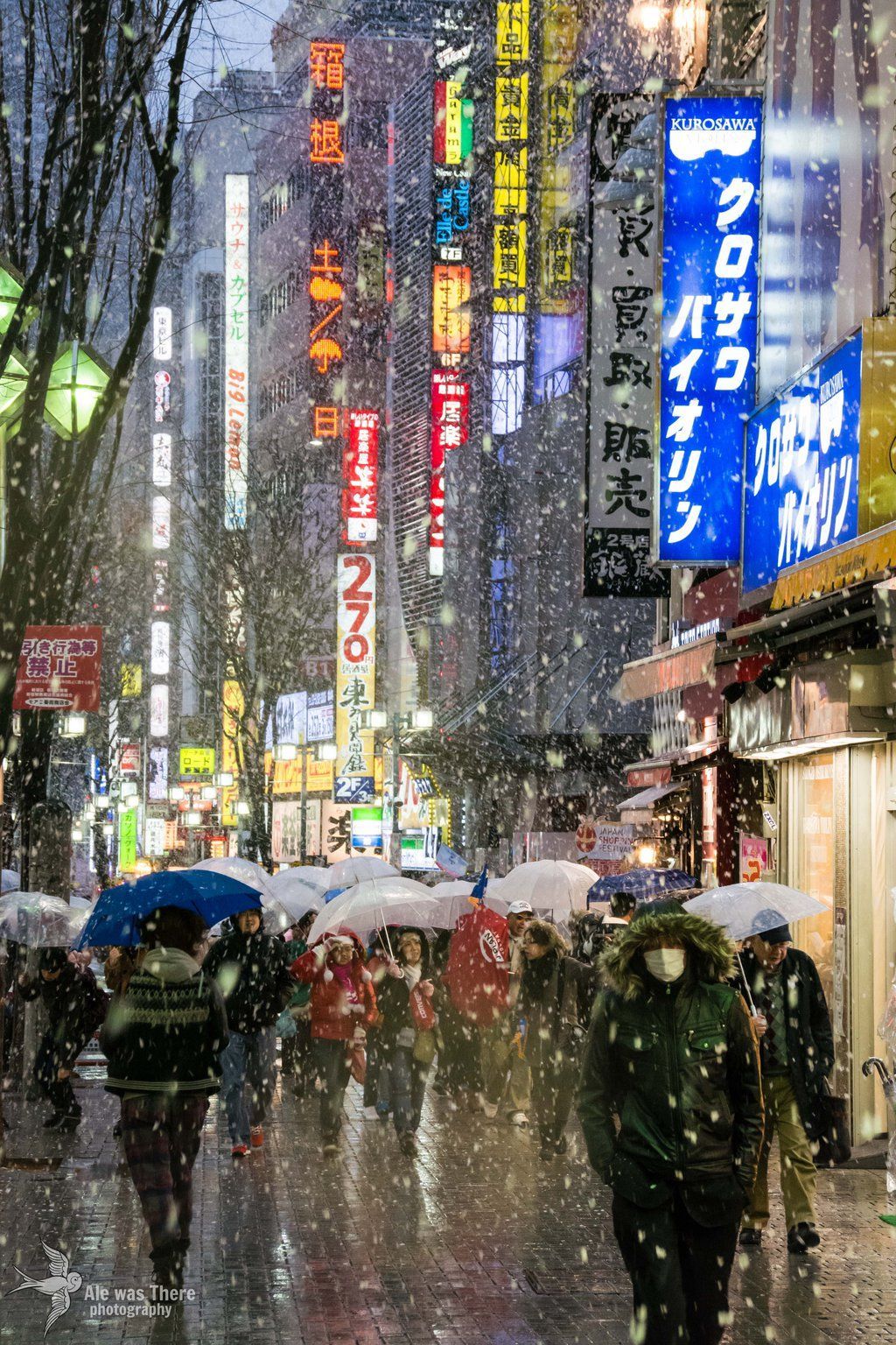 Snowfall in Tokyo - Winter, Tokyo, Japan, Snow