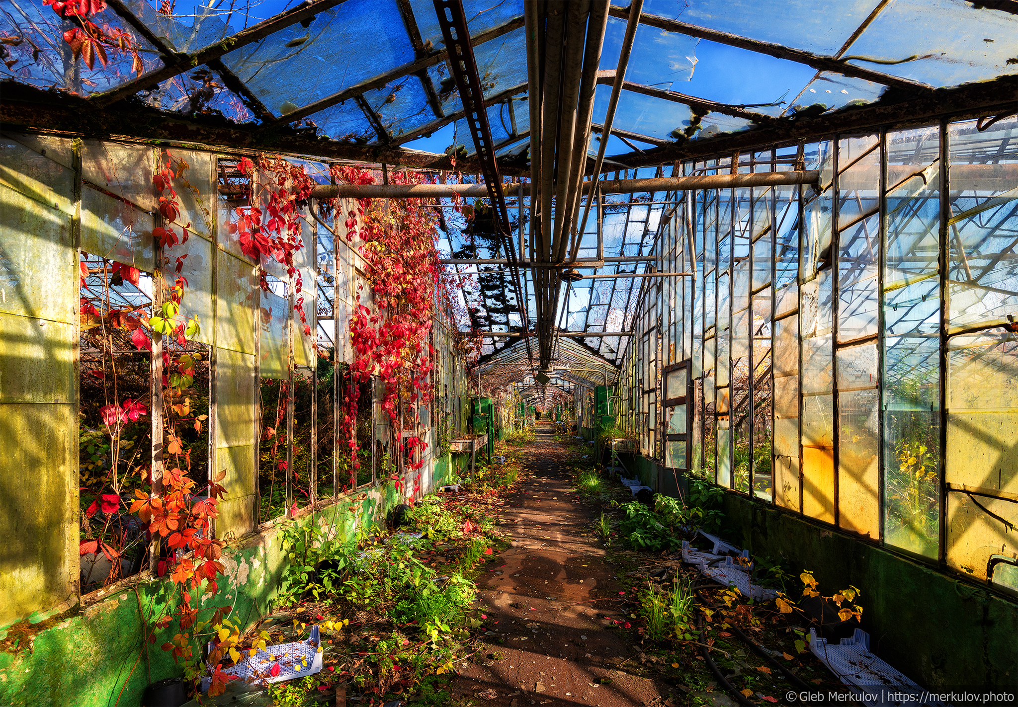 Greenhouses forgotten by people on the outskirts of Moscow - My, Moscow, Abandoned, Cast, Longpost, Greenhouse, Mytischi, I want criticism