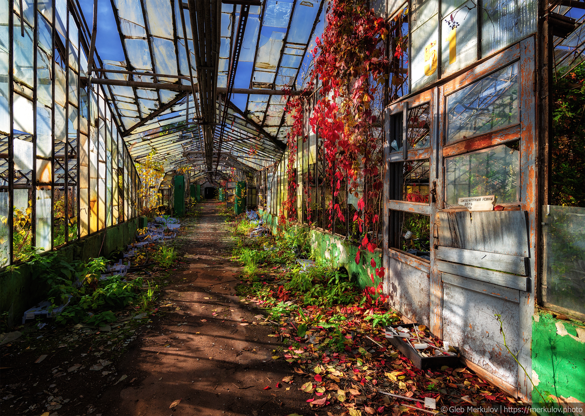 Greenhouses forgotten by people on the outskirts of Moscow - My, Moscow, Abandoned, Cast, Longpost, Greenhouse, Mytischi, I want criticism