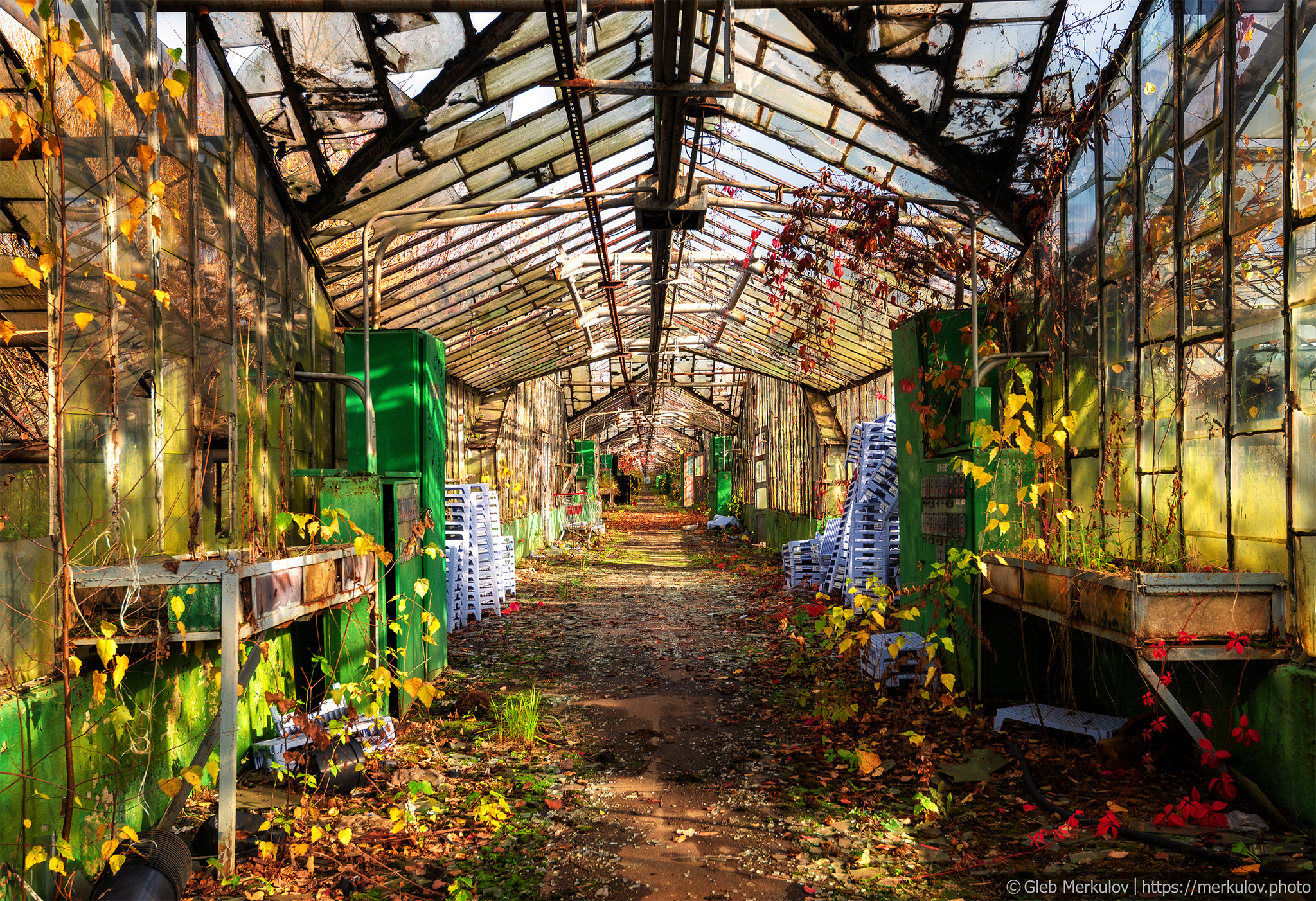 Greenhouses forgotten by people on the outskirts of Moscow - My, Moscow, Abandoned, Cast, Longpost, Greenhouse, Mytischi, I want criticism