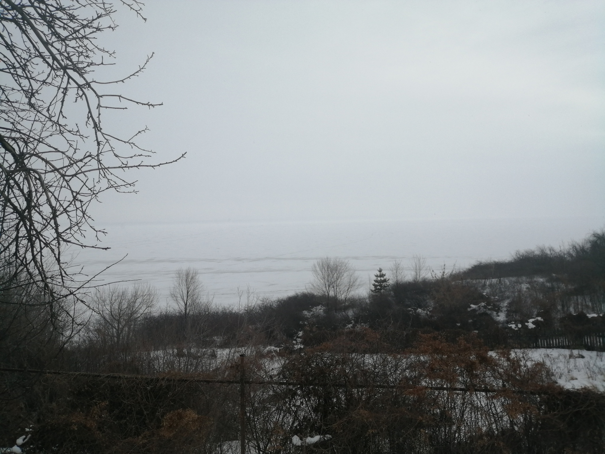 View of the Volga from the garden - My, The photo, Garden, Volga river, Winter