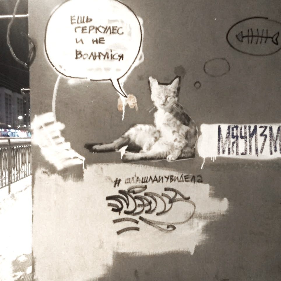 Life on the city walls - Street art, Kazan, Drawing, Town, Creation, Hercules, cat, Longpost