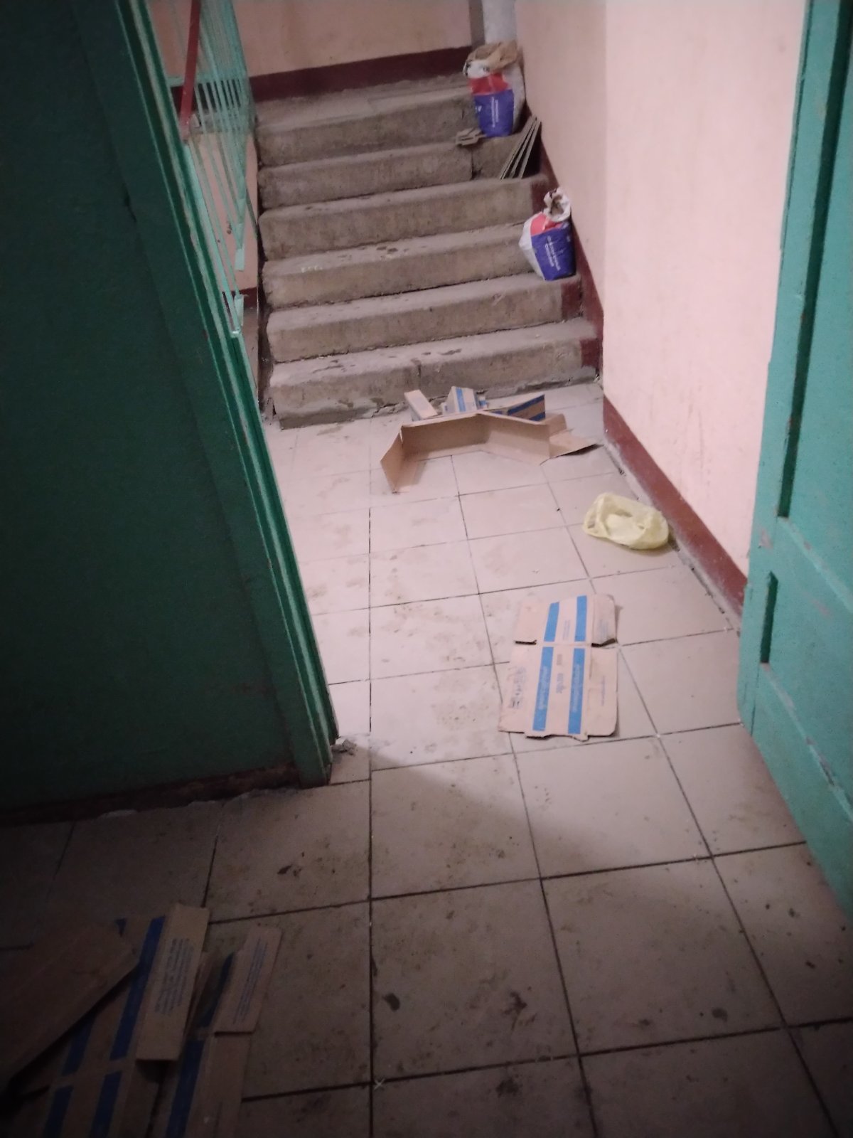 Gradual renovation of the entrance (continued) - My, Entrance, Floor tiles, Door, Longpost