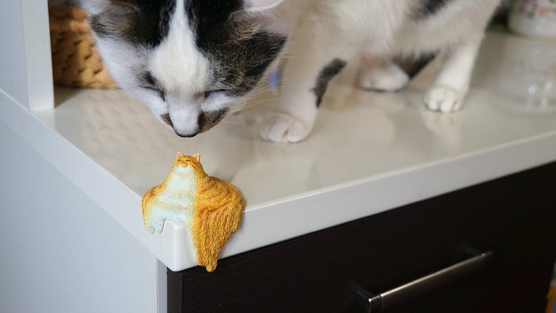 Confrontation - cat, Miniature, Meetissai, Longpost, Figurines