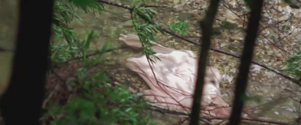 Behind the ford. The mystery of an abandoned village in Lorenzo Bianchini's atmospheric horror - My, Movies, Horror, I advise you to look, Italian cinema, Longpost