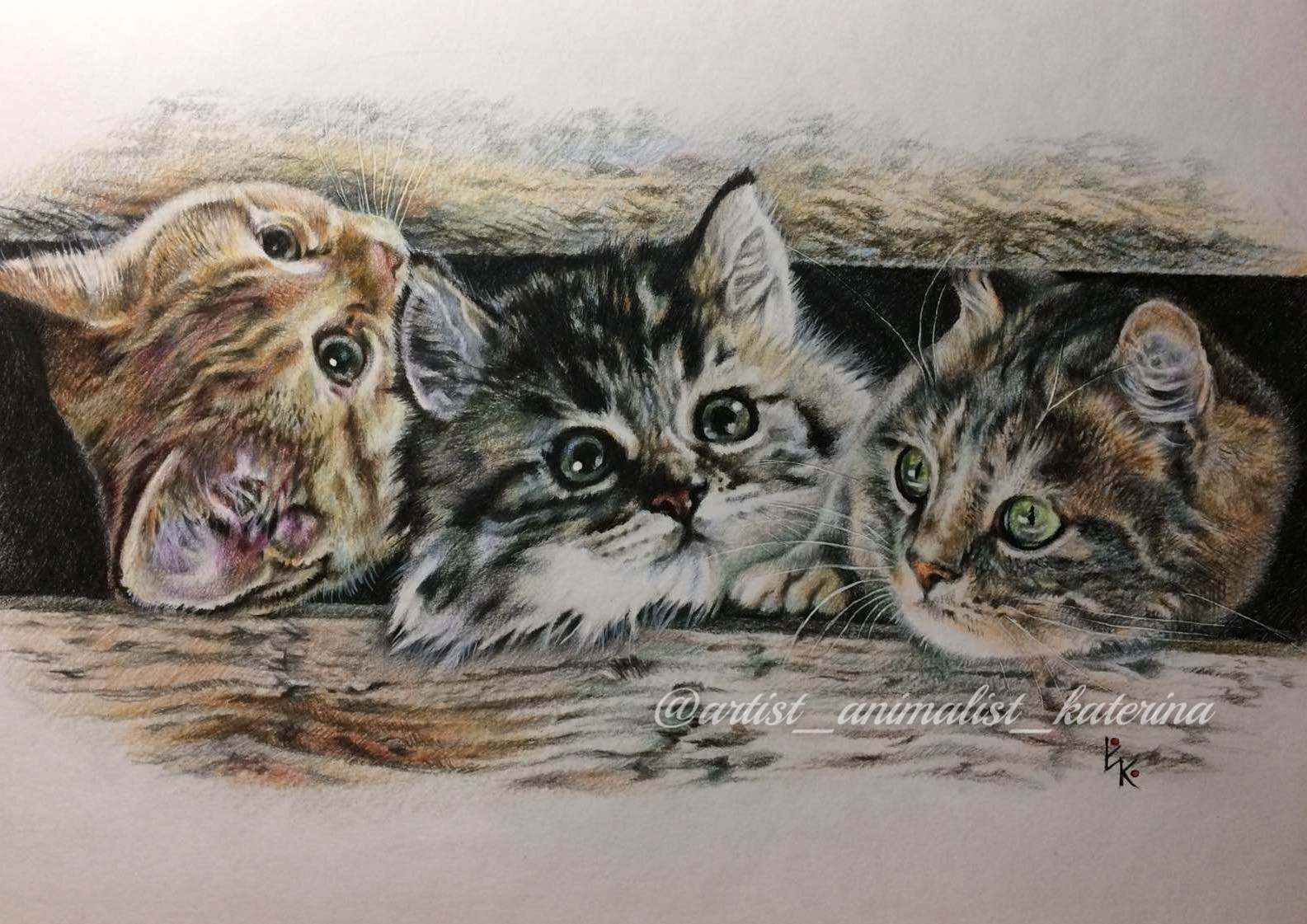 Kids. Drawing made with colored pencils - My, cat, Catomafia, Drawing, Creation, Colour pencils