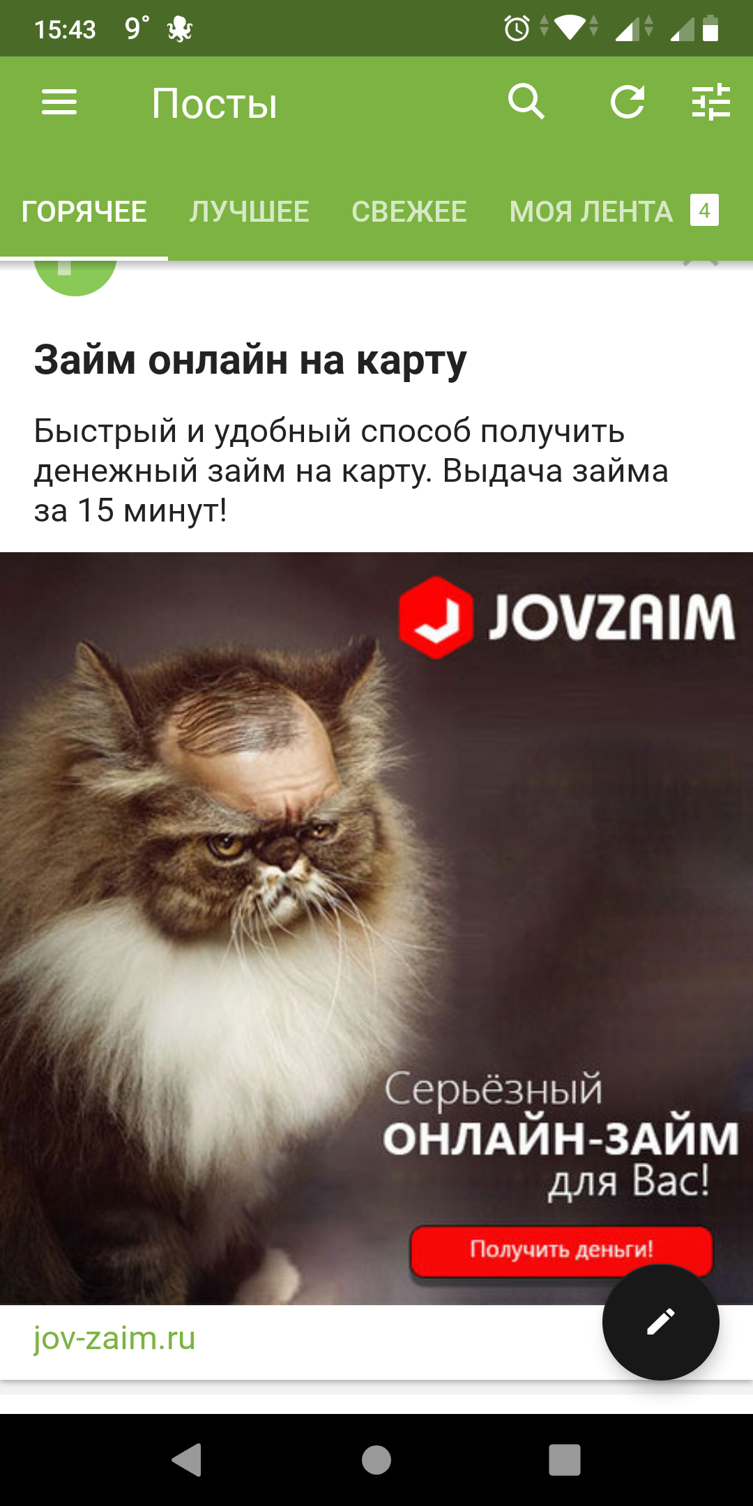 Advertising on Pikabu - Advertising, cat