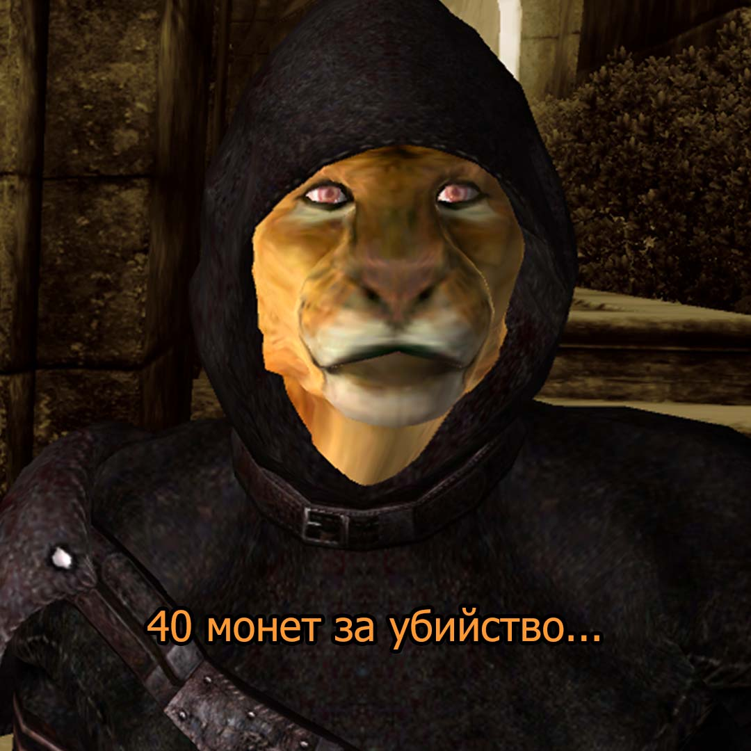 Typical Oblivion - The elder scrolls, The Elder Scrolls IV: Oblivion, Games, Memes, Longpost, Khajiit