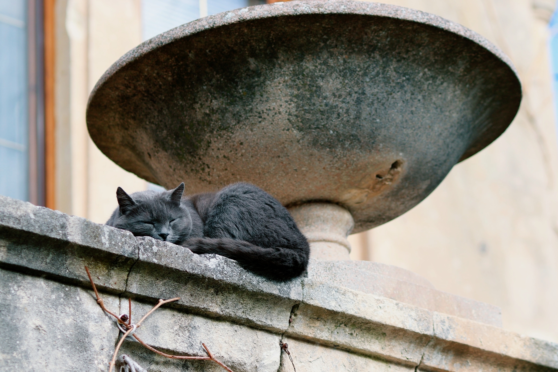 A walk by the sea, without the sea, part 2 - My, Sea, The photo, Walk, cat, Longpost