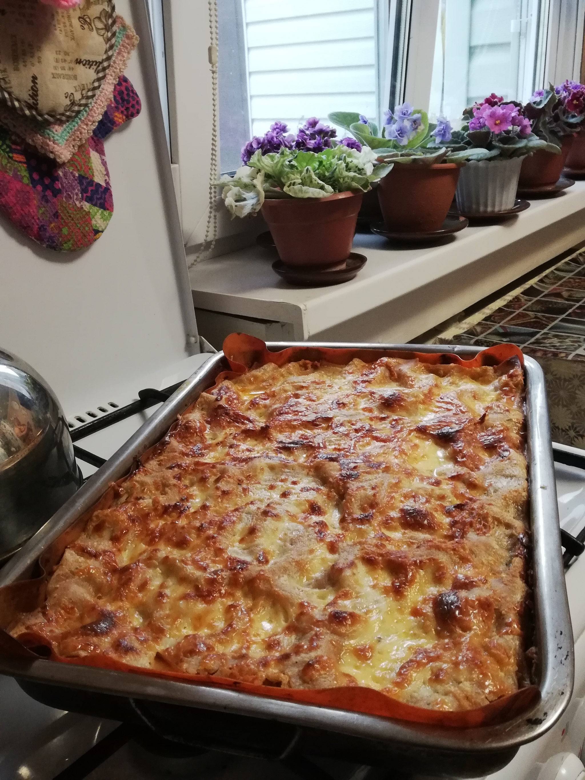 Lasagna - My, Food, Lasagna, Yummy, Longpost