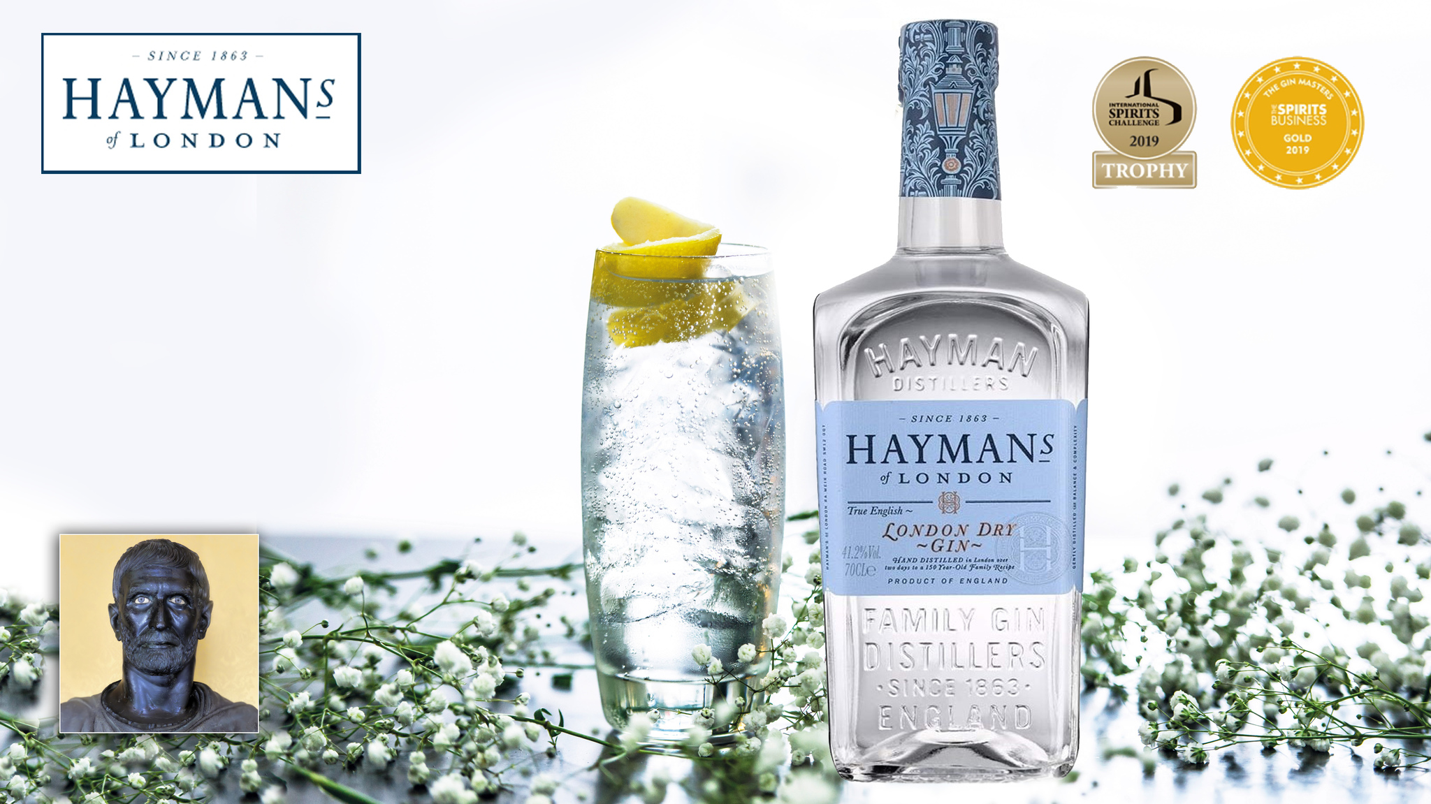 Джин известный. Джин Hayman's London Dry. Jamie Moore Gin. Джин (напиток). Джин напиток алкогольный.