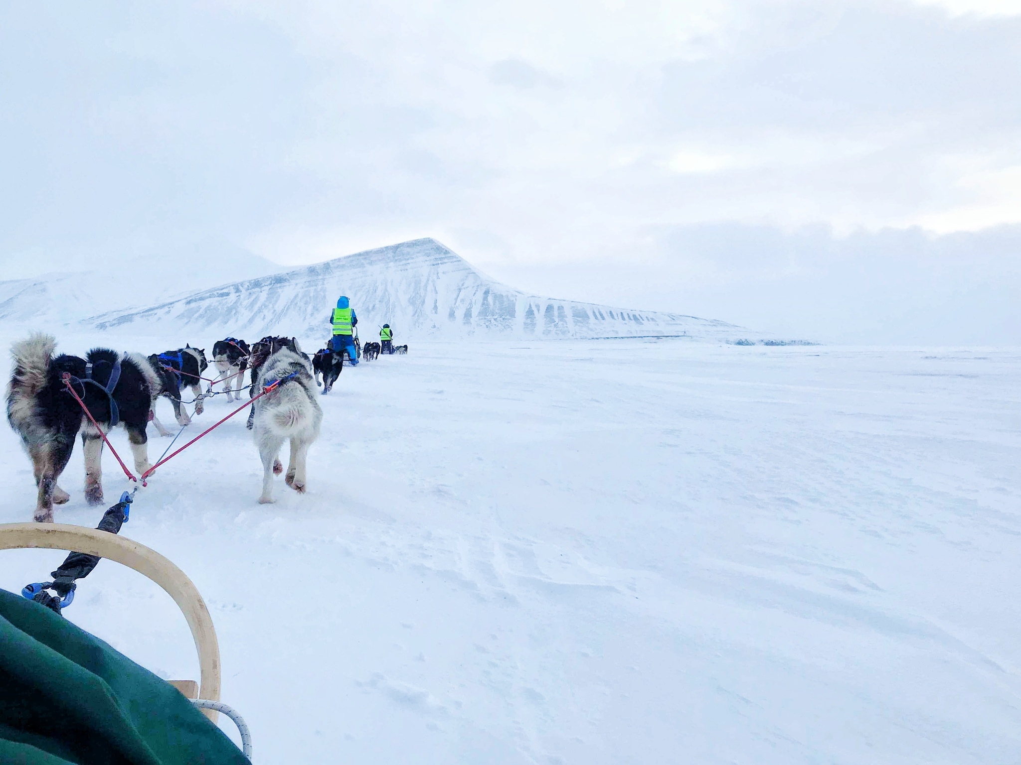 White Silence - My, Musher, Spitsbergen, Arctic, Video, Longpost