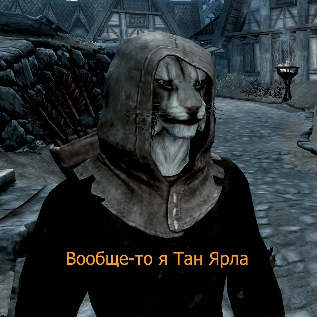 Typical Skyrim guard - The Elder Scrolls V: Skyrim, Memes, Games, Longpost