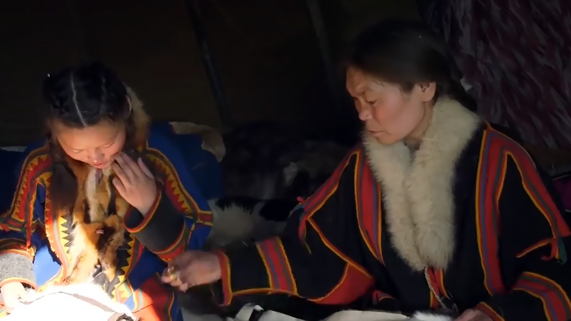 Housewives who receive a salary! Plague worker is an unusual profession in the Far North - Housekeeper, Housewife, Tundra, Profession, Yamal, YaNAO, Family, Arctic, Video, Longpost