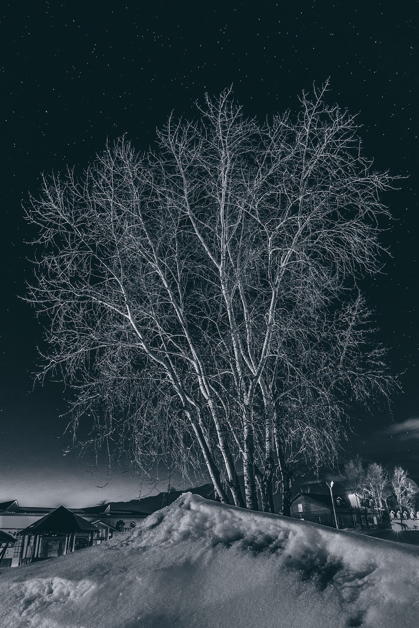 Again about them, curly and whitish... - My, Beginning photographer, Birch, Night shooting, Tobolsk, Canon 70d