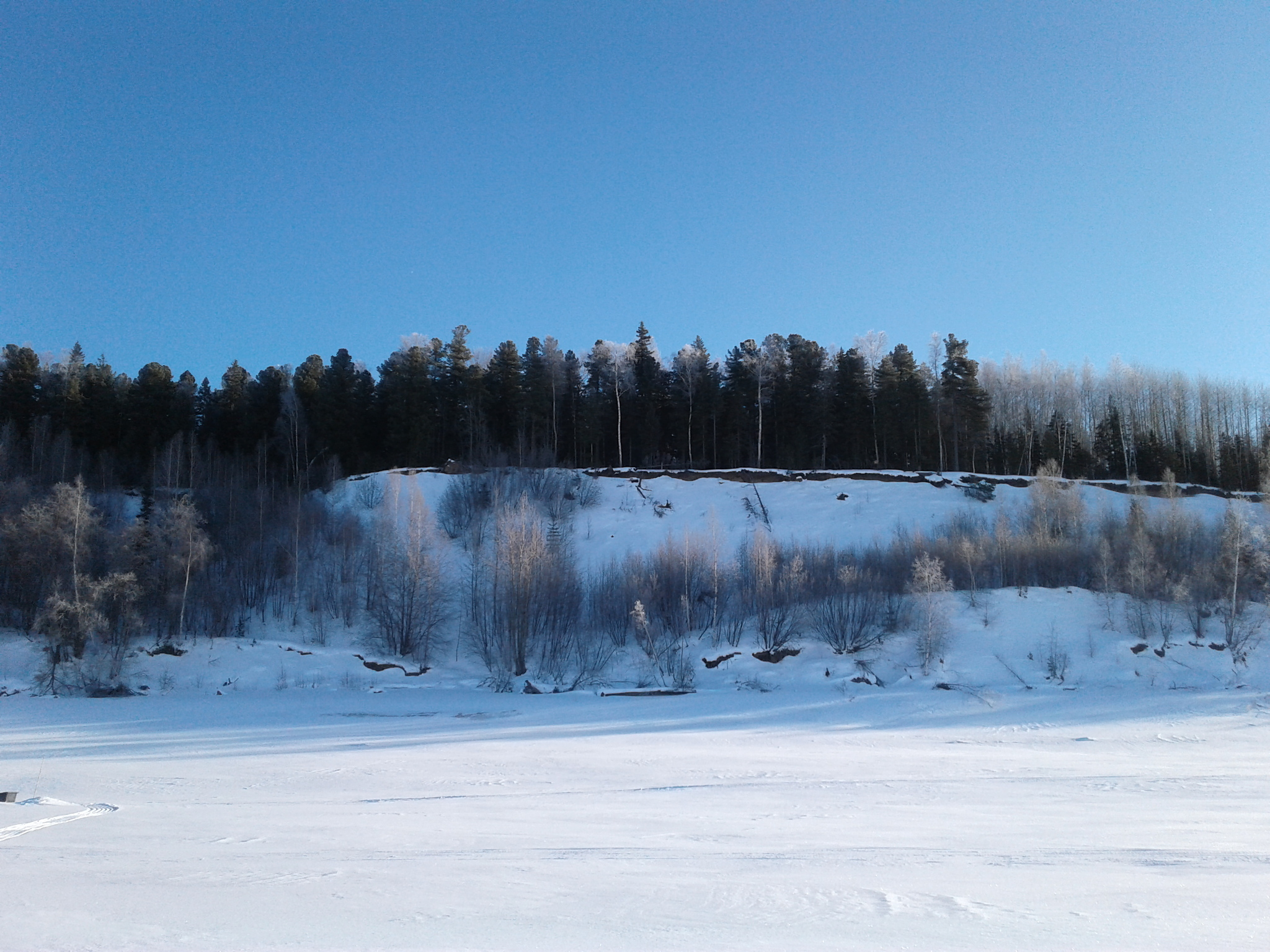 A little frosty freshness - My, Nature, Puppies, Longpost