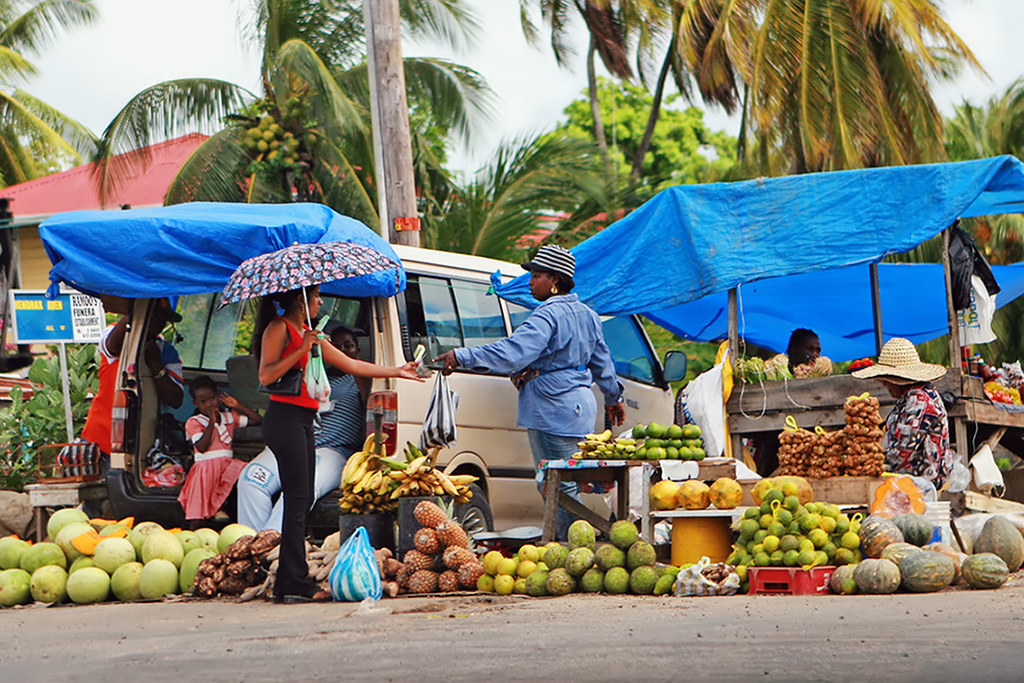 Without Google, does anyone know where Guyana is? - news, Guyana, Shrimps, Rum, Elections