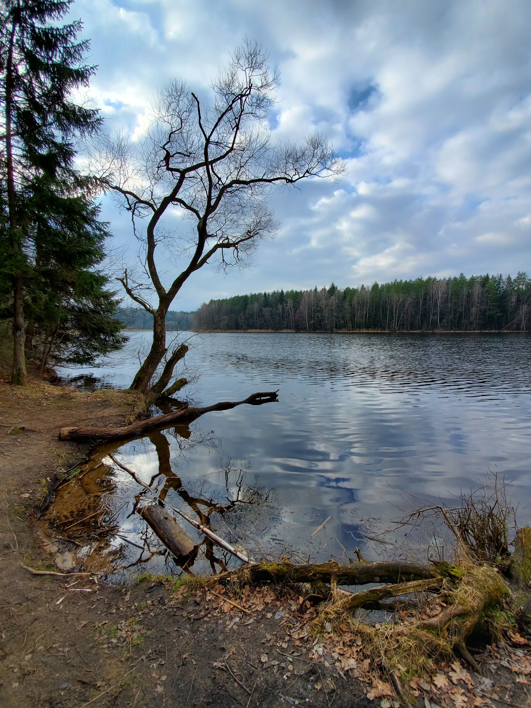 Водохранилище Вяча - Моё, Мобильная фотография, Фотобродилки, Длиннопост