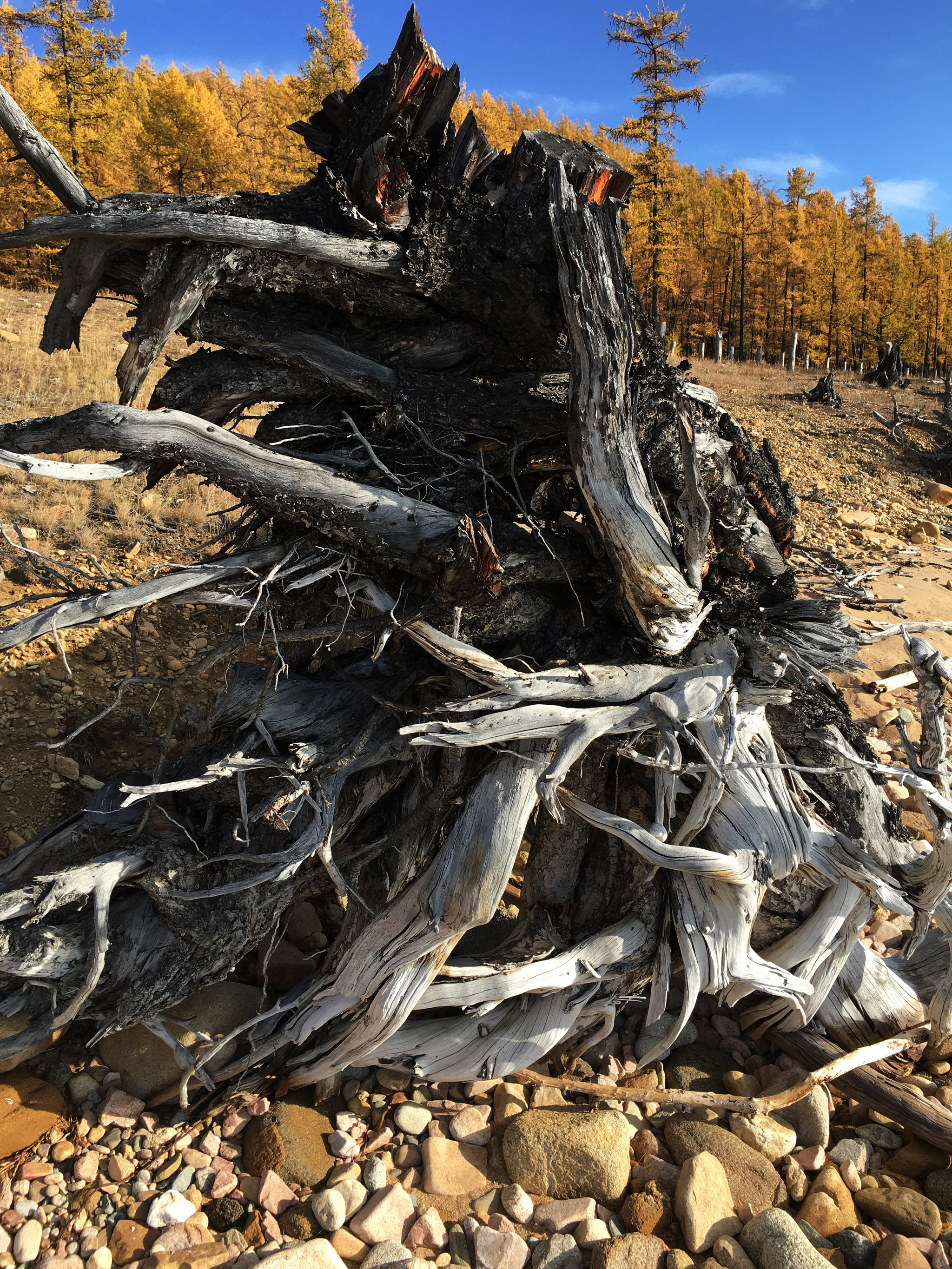 Autumn Mongolia - My, Mongolia, Nature, Khubsugul, Privacy, Relaxation, Longpost