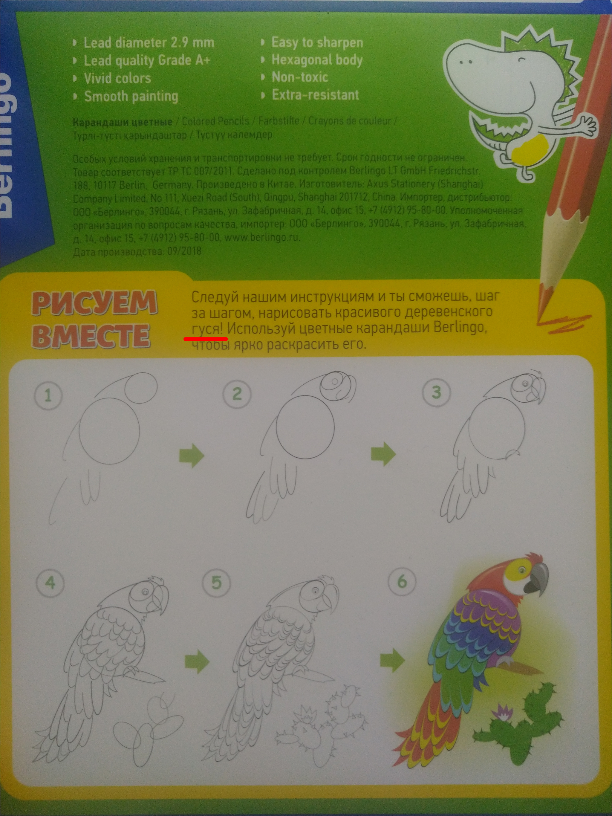 How to draw...a goose! - Images, Гусь