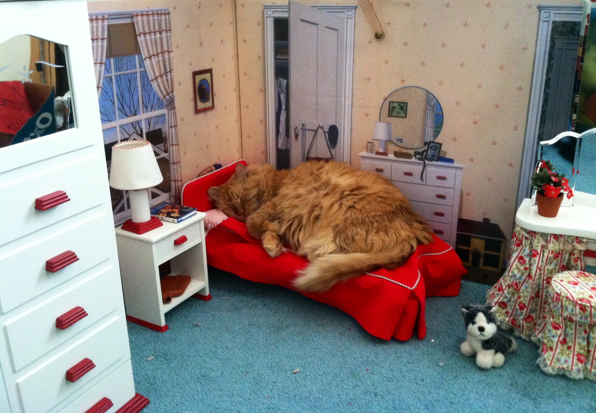 Живая обстановка. Комната для кота. Дом для кошки. Кошка в квартире. Комната для кошки в доме.