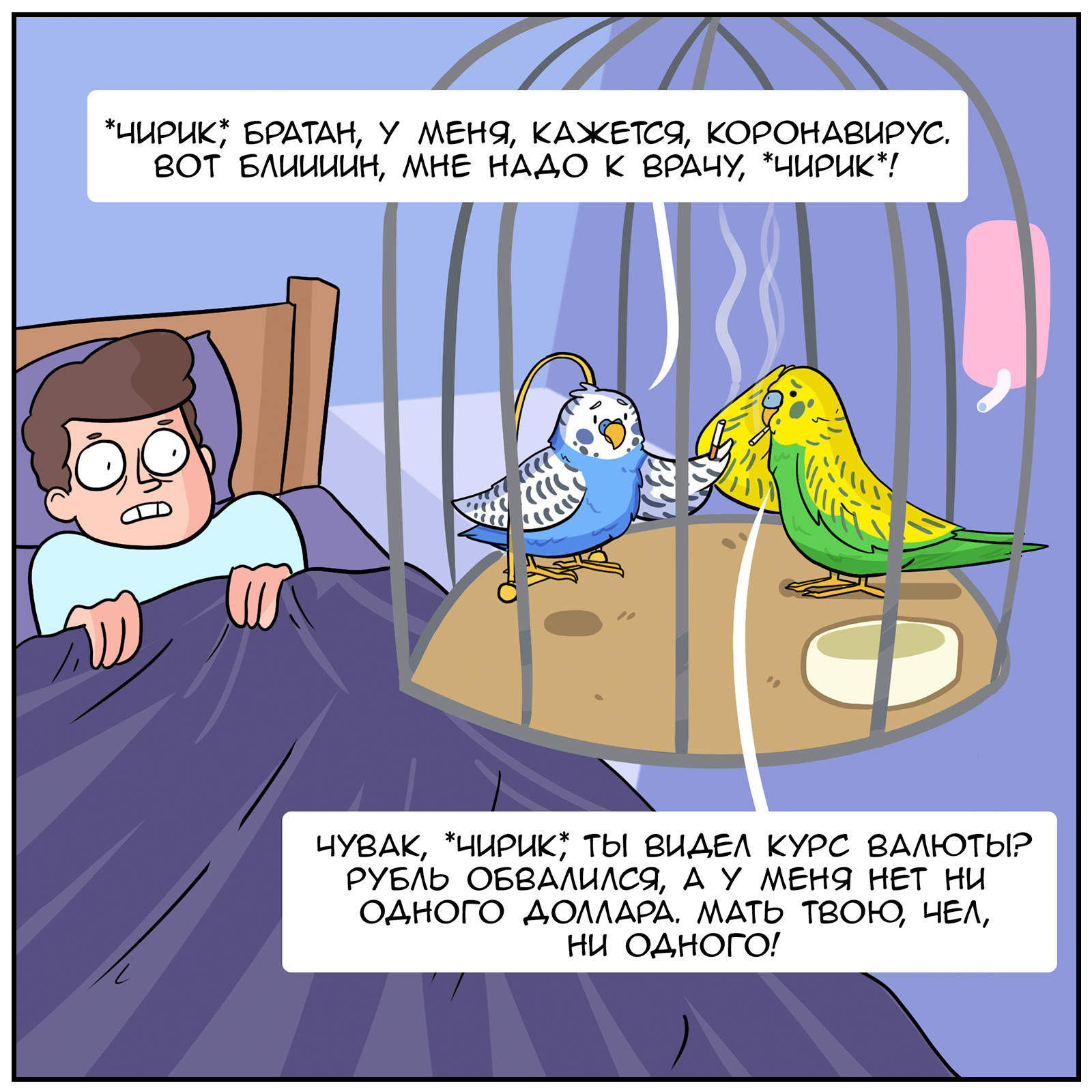 We are all wavy now... - My, Martadello, Comics, Web comic, Humor, A parrot, Longpost